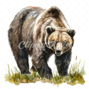 20 High-Quality Grizzly Bear Clipart - Grizzly bear digital watercolor JPG instant download for commercial use - Digital download