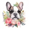 20 High-Quality French Cute Bulldog Clipart - Cute bulldog digital watercolor JPG instant download for commercial use - Digital download