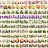 Forests Clipart Bundle - 1140+ transparent PNG, Woodland Landscape clipart, Nature Scenes graphics, Commercial use, Digital download