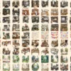 Medieval Town Watercolor Clipart Bundle - 680+ transparent PNG, Old world town graphics, Timeless village, Commercial use, Digital download