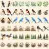 Wild Woodland Watercolor Clipart Bundle - 500+ transparent PNG, Woodland creature graphics, Nature images, Commercial use, Digital download