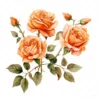 20 High-Quality Orange Rose Clipart - Orange rose digital watercolor JPG instant download for commercial use - Digital download
