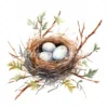 20 High-Quality Bird Nest Clipart - Bird nest digital watercolor JPG instant download for commercial use - Digital download