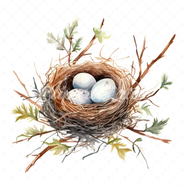 20 High-Quality Bird Nest Clipart - Bird nest digital watercolor JPG instant download for commercial use - Digital download