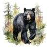 19 High-Quality Black Bear Clipart - Black bear digital watercolor JPG instant download for commercial use - Digital download