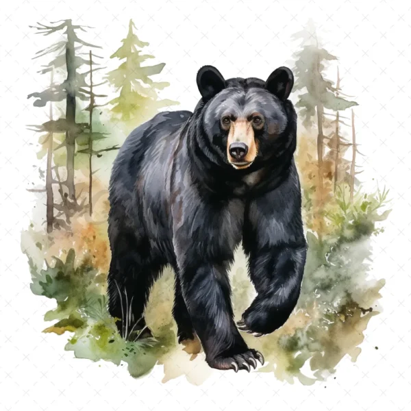 19 High-Quality Black Bear Clipart - Black bear digital watercolor JPG instant download for commercial use - Digital download