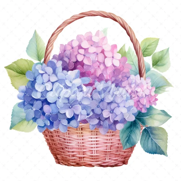 20 High-Quality Hydrangea Basket Clipart - Hydrangea basket digital watercolor JPG instant download for commercial use - Digital download