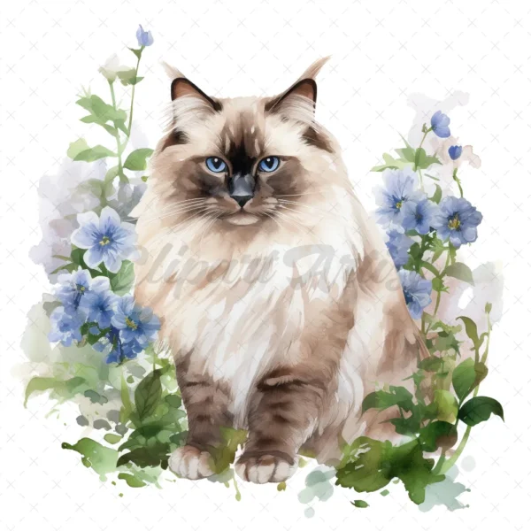 20 High-Quality Ragdoll Cats Clipart - Ragdoll cat digital watercolor JPG instant download for commercial use - Digital download