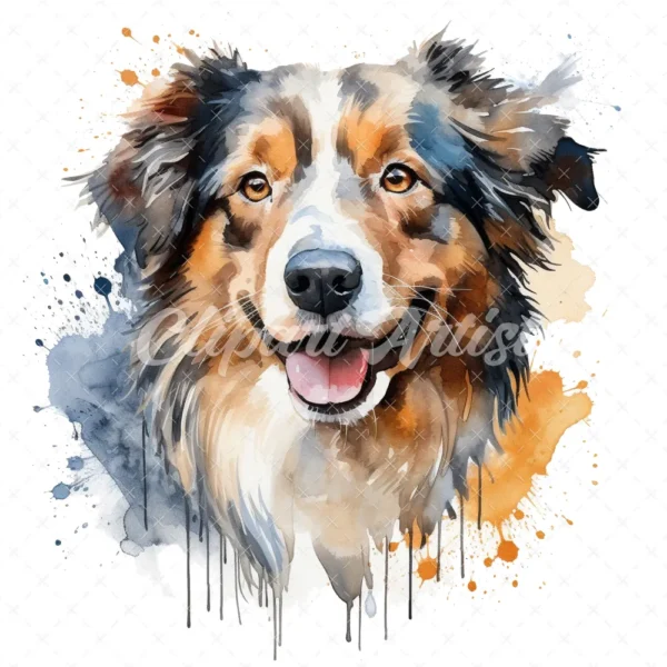 20 High-Quality Australian Shepherd Clipart - Shepherd digital watercolor JPG instant download for commercial use - Digital download