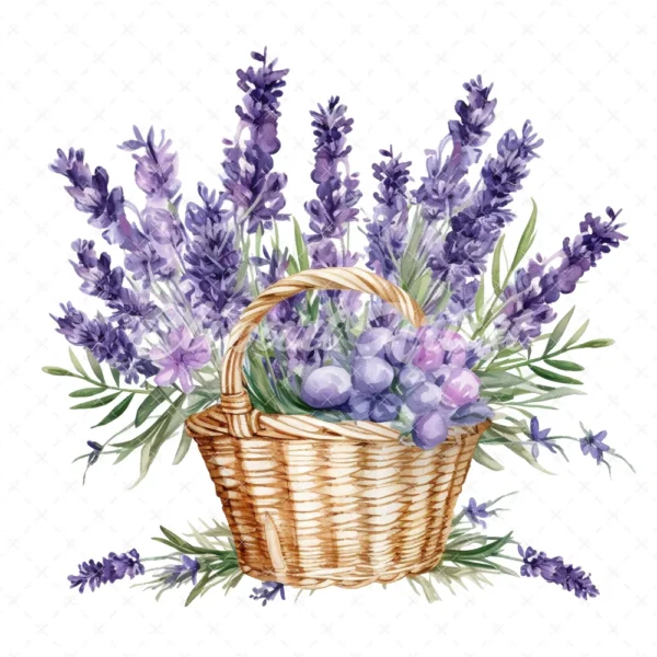 20 High-Quality Lavender Flowers Basket Clipart - Lavender digital watercolor JPG instant download for commercial use - Digital download