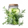 20 High-Quality Herbs Jar Clipart - Herbs jar digital watercolor JPG instant download for commercial use - Digital download