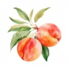 19 High-Quality Peach Clipart - Peach digital watercolor JPG instant download for commercial use - Digital download
