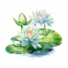 20 High-Quality Water Lily Clipart - Water lily digital watercolor JPG instant download for commercial use - Digital download