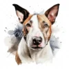 20 High-Quality Bull Terrier Portrait Clipart - Bull terrier digital watercolor JPG instant download for commercial use - Digital download