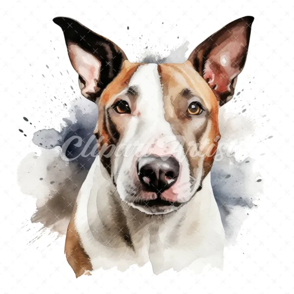 20 High-Quality Bull Terrier Portrait Clipart - Bull terrier digital watercolor JPG instant download for commercial use - Digital download