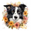 20 High-Quality Floral Border Collie Clipart - Border collie digital watercolor JPG instant download for commercial use - Digital download