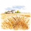 19 High-Quality Wheat Farm Clipart - Wheat farm digital watercolor JPG instant download for commercial use - Digital download