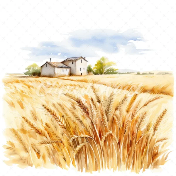 19 High-Quality Wheat Farm Clipart - Wheat farm digital watercolor JPG instant download for commercial use - Digital download