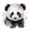 20 High-Quality Baby Panda Portrait Clipart - Panda Portrait digital watercolor JPG instant download or commercial use - Digital download