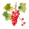 20 High-Quality Ribes Clipart - Ribes digital watercolor JPG instant download for commercial use - Digital download