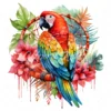 20 High-Quality Parrot With Dreamcatcher Clipart - Parrot digital watercolor JPG instant download for commercial use - Digital download