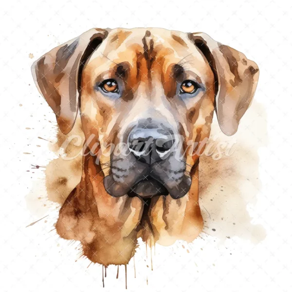 20 High-Quality Rhodesian Portrait Clipart - Rhodesian dog digital watercolor JPG instant download for commercial use - Digital download
