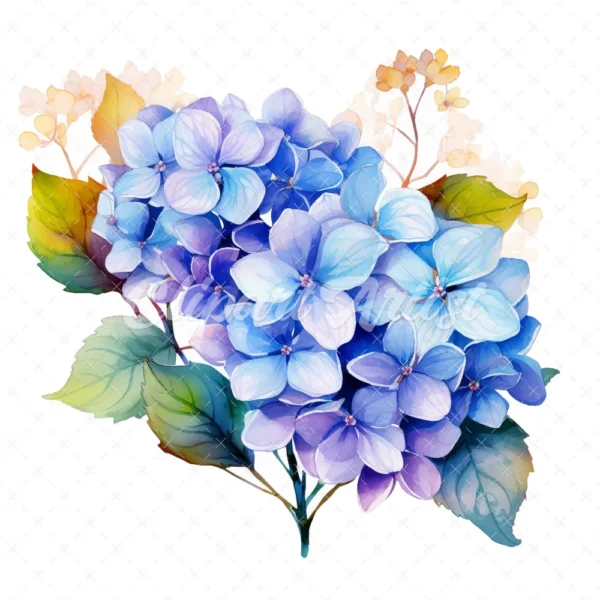 20 High-Quality Hydrangea Clipart - Hydrangea flower digital watercolor JPG instant download for commercial use - Digital download