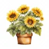20 High-Quality Sunflower Planters Clipart - Sunflower plant digital watercolor JPG instant download for commercial use - Digital download