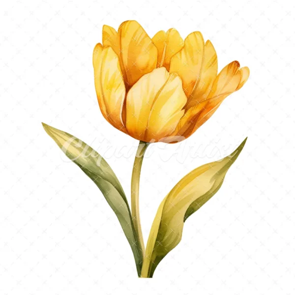 20 High-Quality Yellow Tulip Clipart - Yellow tulip digital watercolor JPG instant download for commercial use - Digital download