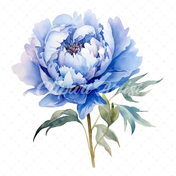 20 High-Quality Blue Peony Clipart - Blue peony flower digital watercolor JPG instant download for commercial use - Digital download