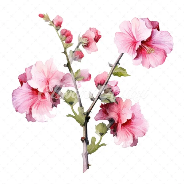20 High-Quality Hollyhock Clipart - Hollyhock flowers digital watercolor JPG instant download for commercial use - Digital download
