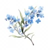 20 High-Quality Forget Me Not Clipart - Forget me not digital watercolor JPG instant download for commercial use - Digital download