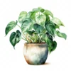 19 High-Quality Pot of Philodendron Clipart - Philodendron digital watercolor JPG instant download for commercial use - Digital download