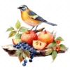 20 High-Quality Bird on Fruits Table Clipart - Bird fruits digital watercolor JPG instant download for commercial use - Digital download