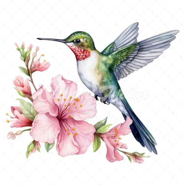 19 High-Quality Floral Hummingbird Clipart - Hummingbird digital watercolor JPG instant download for commercial use - Digital download