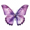 24 High-Quality Purple Butterfly Clipart - Purple butterfly digital watercolor JPG instant download for commercial use - Digital download