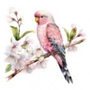 18 High-Quality Pink Bourke Parakeet Clipart - Pink parakeet digital watercolor JPG instant download for commercial use - Digital download