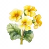 20 High-Quality Primrose Clipart - Primrose flowers watercolor JPG instant download for commercial use - Digital download