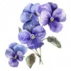 20 High-Quality Violets Clipart - Violets clipart digital watercolor JPG instant download for commercial use - Digital download