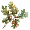 19 High-Quality Oak Acorns Clipart - Oak acorns digital watercolor JPG instant download for commercial use - Digital download