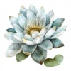 19 High-Quality Delicate Water Lily Clipart - Water lily digital watercolor JPG instant download for commercial use - Digital download