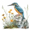 20 High-Quality Floral Kingfisher Clipart - Floral kingfisher digital watercolor JPG instant download for commercial use - Digital download