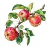 20 High-Quality Apple Branch Clipart - Apple branch watercolor JPG instant download for commercial use - Digital download