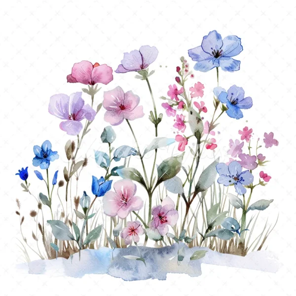 22 High-Quality Winter Wildflowers Clipart - Winter wildflowers watercolor JPG instant download for commercial use - Digital download