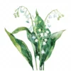 20 High-Quality Lily Of Valley Clipart - Lily of the valley digital watercolor JPG instant download for commercial use - Digital download