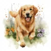 20 High-Quality Golden Retriever Clipart - Golden retriever digital watercolor JPG instant download for commercial use - Digital download