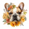 20 High-Quality French Cute Bulldog Clipart - Cute bulldog digital watercolor JPG instant download for commercial use - Digital download