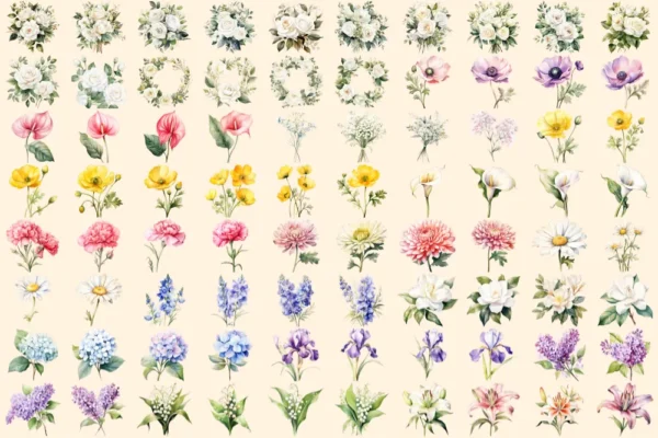 Wedding Flowers Watercolor Clipart Bundle - 545+ transparent PNG, Floral wedding elements, Bride's bouquet, Commercial use, Digital download