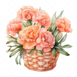 22 High-Quality Peach Carnation Clipart - Peach flowers basket watercolor digital JPG instant download for commercial use - Digital download