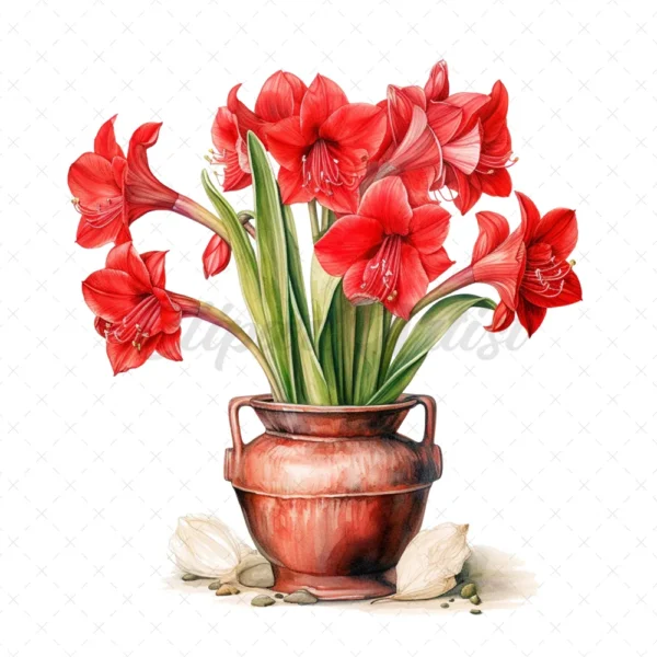 21 High-Quality Amaryllis Pots Clipart - Amaryllis pots digital watercolor JPG instant download for commercial use - Digital download
